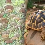 Ακόμα και οι ιδιοφυΐες δεν μπορούν να βρουν την απάντηση