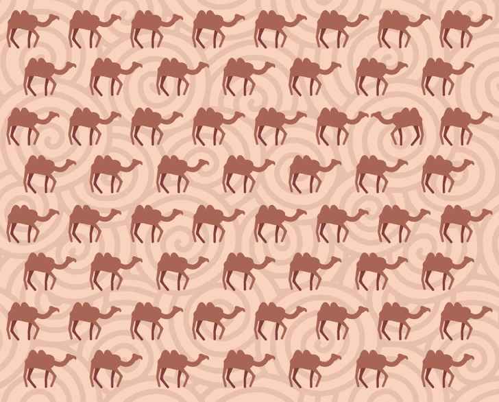 Ένας γρίφος