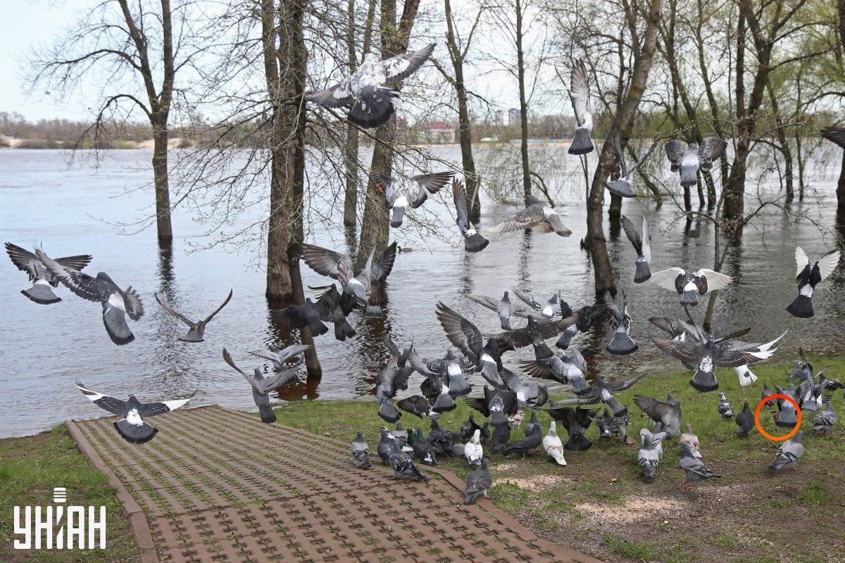 Φωτογραφία Moje