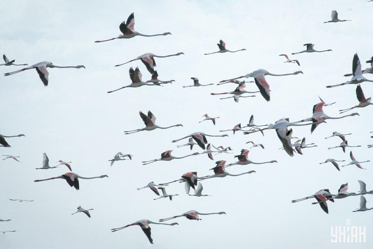 Φωτογραφία Moje