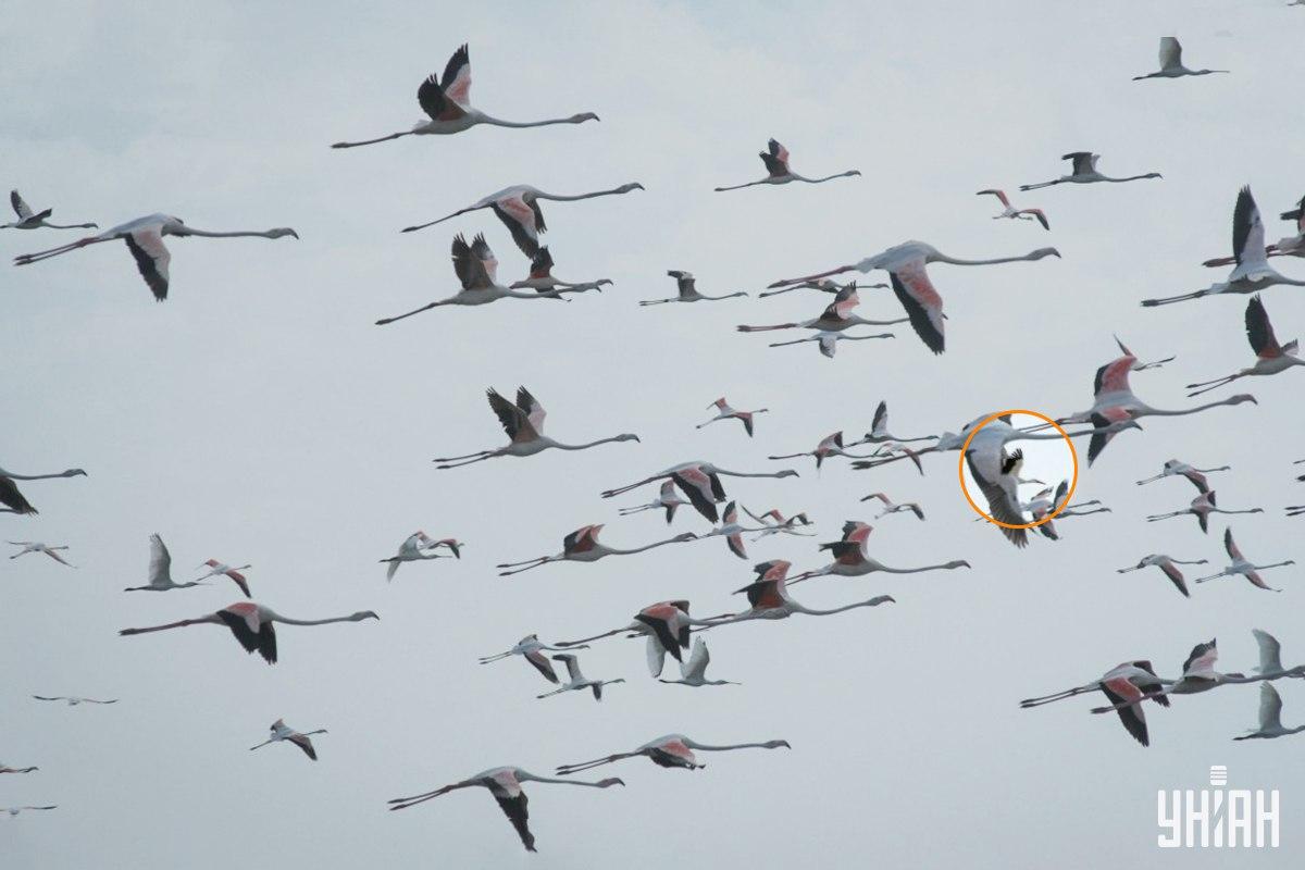 Φωτογραφία Moje