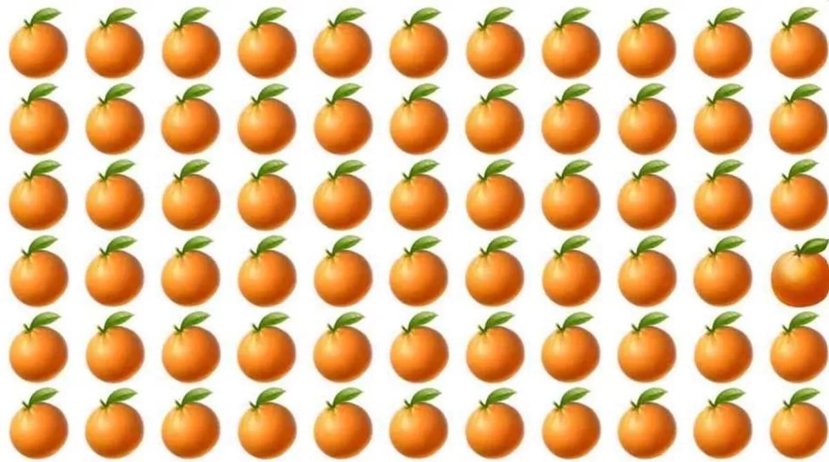 Ένα πορτοκάλι είναι διαφορετικό από τα άλλα 