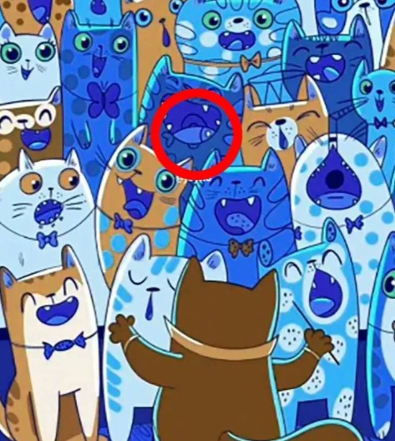 φωτογραφία joyko