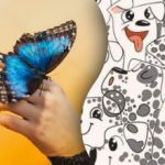 Μόνο λίγοι μπορούν να το κάνουν: μόνο οι ιδιοφυΐες μπορούν να βρουν μια πεταλούδα ανάμεσα σε σκύλους σε 6 δευτερόλεπτα. Μόνο λίγοι μπορούν να το κάνουν: μόνο οι ιδιοφυΐες μπορούν