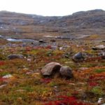 Ένα παζλ για όσους έχουν εξαιρετική όραση: πρέπει να βρείτε