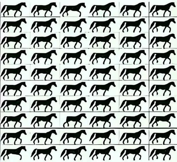 Αίνιγμα αλόγου