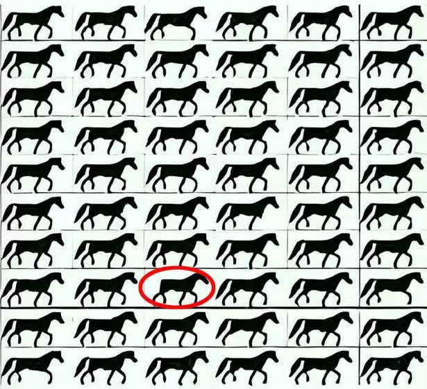 Γρίφος με άλογα