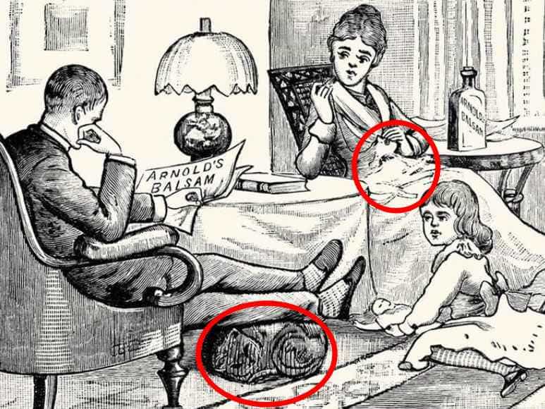 Οπτική ψευδαίσθηση για τους πιο προσεκτικούς: πρέπει να βρείτε δύο γάτες σε 7 δευτερόλεπτα