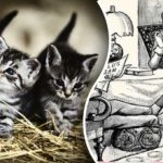 Οπτική ψευδαίσθηση για τους πιο προσεκτικούς: πρέπει να βρείτε δύο