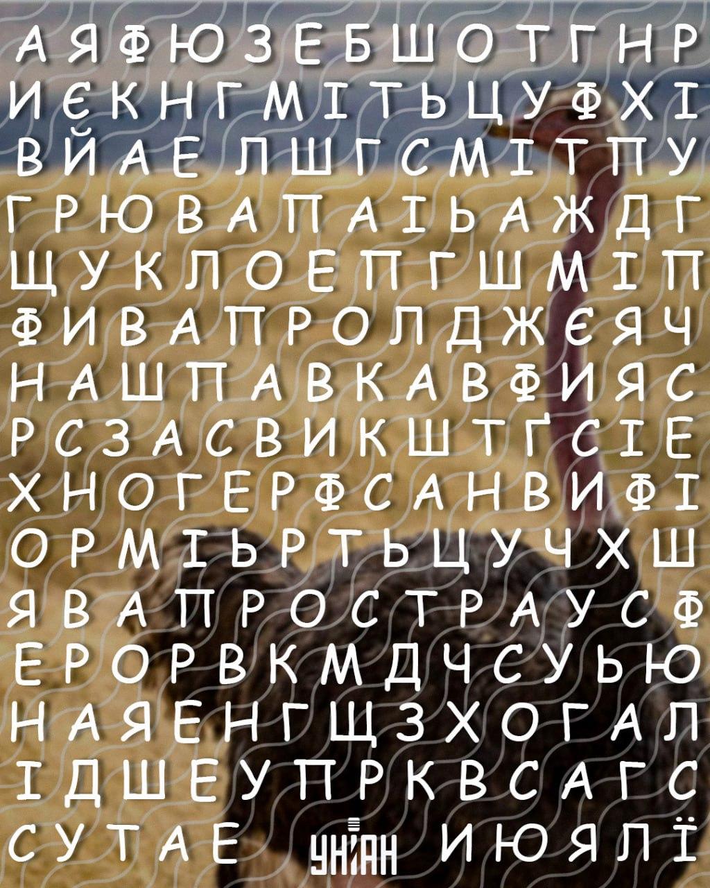 Μόνο άτομα με υψηλό IQ μπορούν να βρουν τη λέξη 'στρουθοκάμηλος' σε 10 δευτερόλεπτα: ένα δύσκολο παιχνίδι γρίφων Μόνο άτομα με υψηλό IQ μπορούν να βρουν τη λέξη