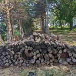 Ένα παζλ για τους πιο χαρούμενους και πολυμήχανους: πρέπει να βρείτε τη γάτα σε 7 δευτερόλεπτα. Ένα παζλ για τους πιο χαρούμενους και πολυμήχανους: πρέπει να