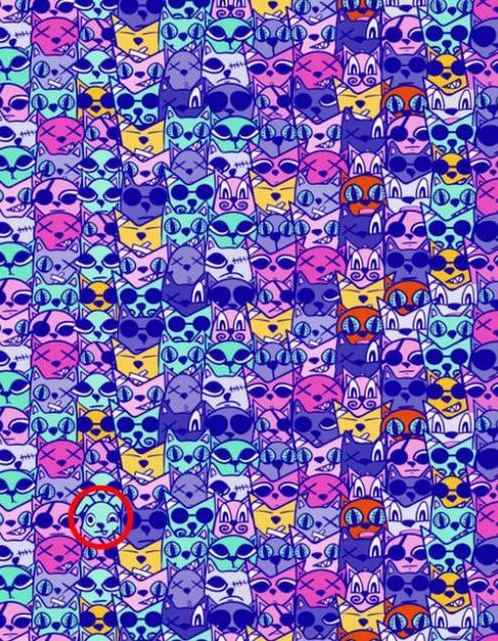 Στοιχείο σκύλος γάτα σκύλος