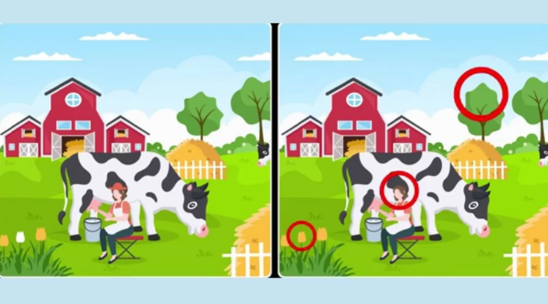 Fresherslive φωτογραφία