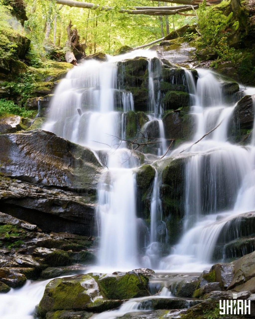 Η εύρεση ενός σκίουρου σε ένα δύσκολο παζλ / κολάζ Moje