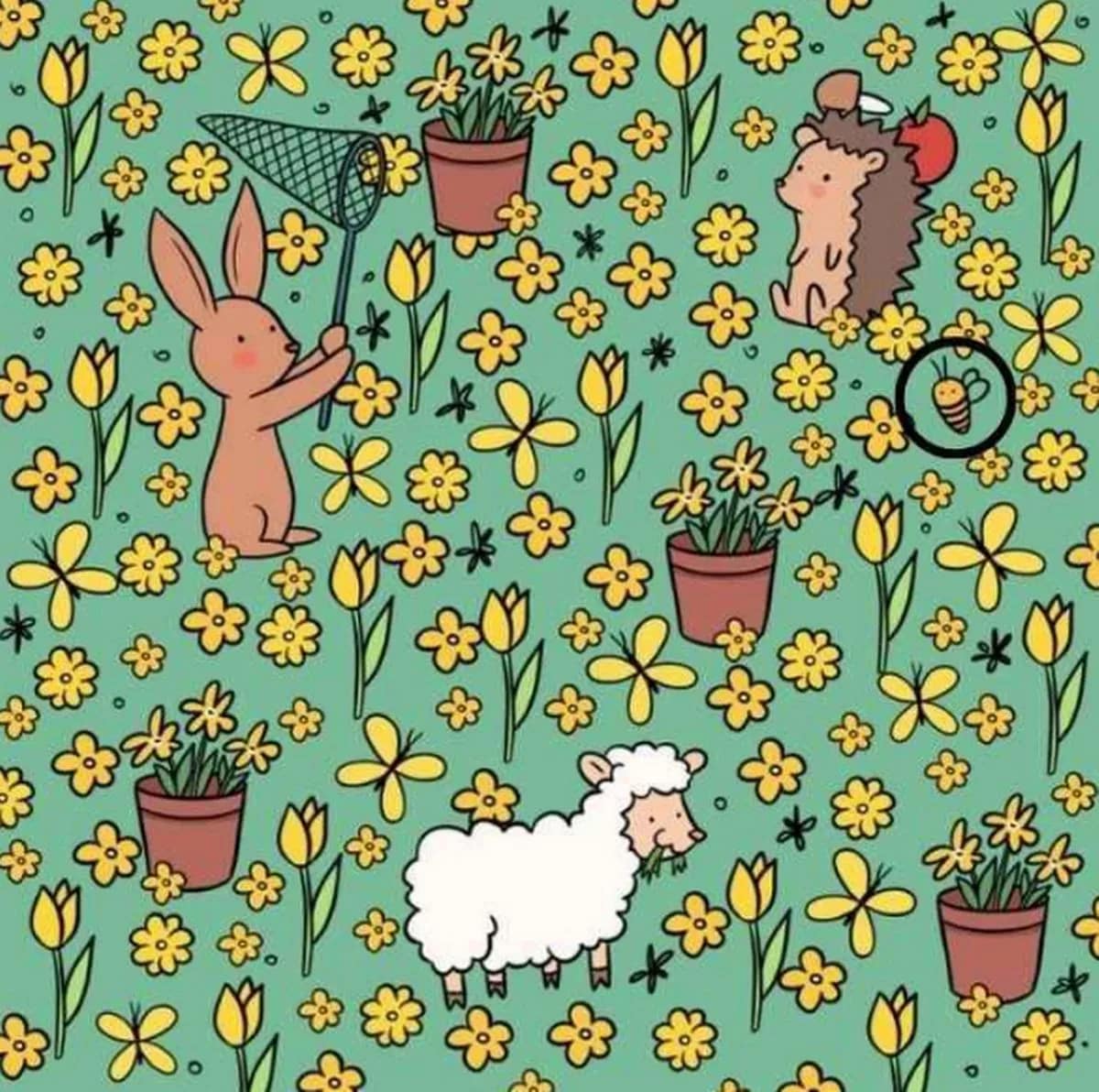 Η σωστή απάντηση στο γρίφο 