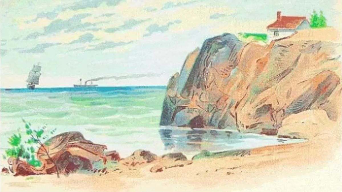 Μόνο μια ιδιοφυΐα θα βρει 4 ζώα σε 11 δευτερόλεπτα: ένα απίστευτο τεστ προσοχής