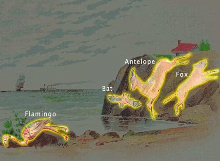 Μόνο μια ιδιοφυΐα θα βρει 4 ζώα σε 11 δευτερόλεπτα: ένα απίστευτο τεστ ενσυνειδητότητας