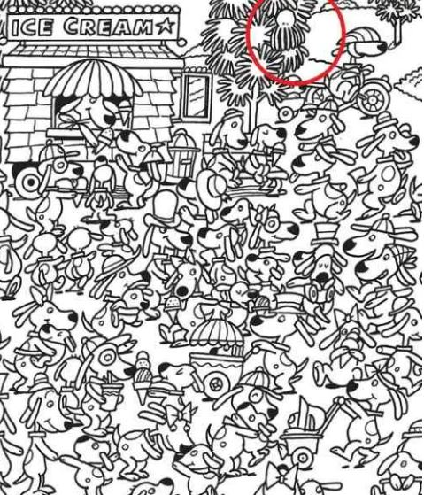 Τεστ προσοχής