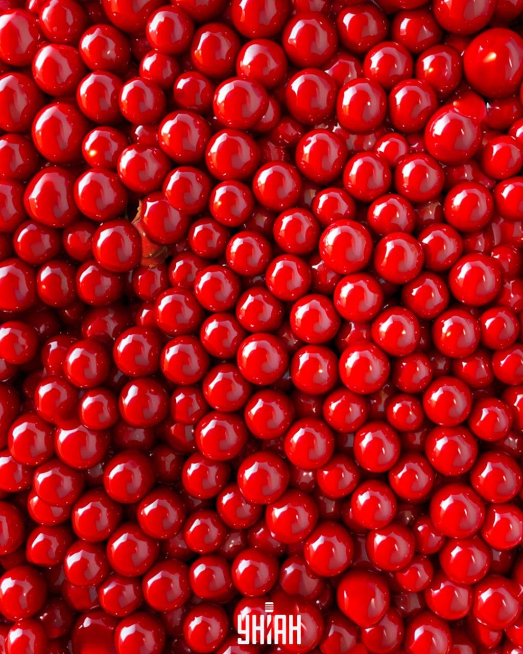 Ανάμεσα στις κόκκινες χάντρες υπάρχουν μούρα Kalina, και πρέπει να βρεθούν γρήγορα / κολάζ Moje Υπάρχουν μούρα Kalina ανάμεσα στις κόκκινες χάντρες, και πρέπει να βρεθούν γρήγορα / κολάζ Moje