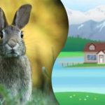 Ένας γρίφος για τους πιο προσεκτικούς: πρέπει να βρείτε το