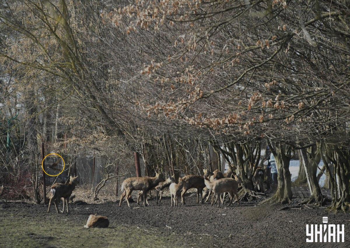 Φωτογραφία Moje