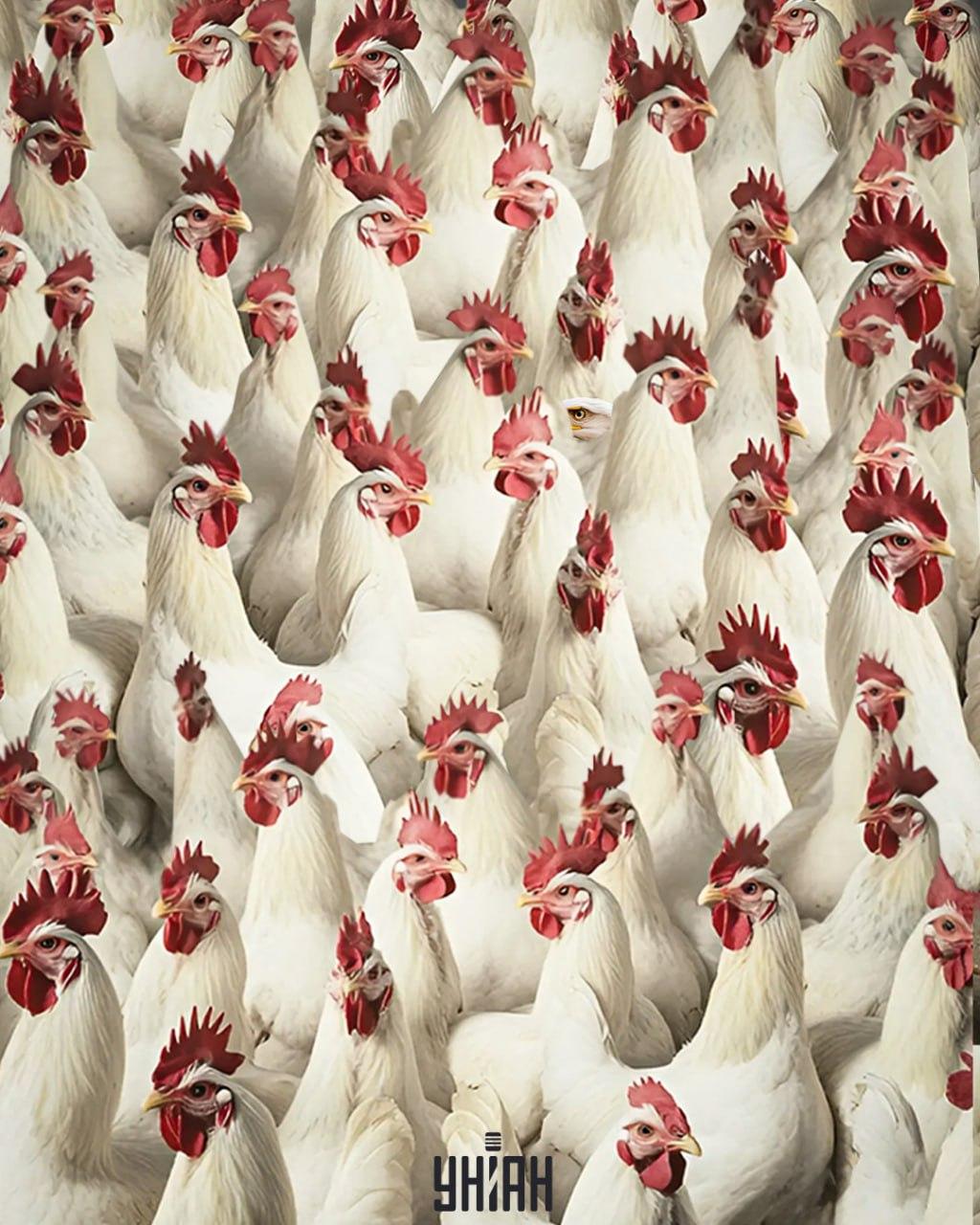 Χρειάζονται 5 δευτερόλεπτα για να βρεις έναν αετό / Κολάζ Moje