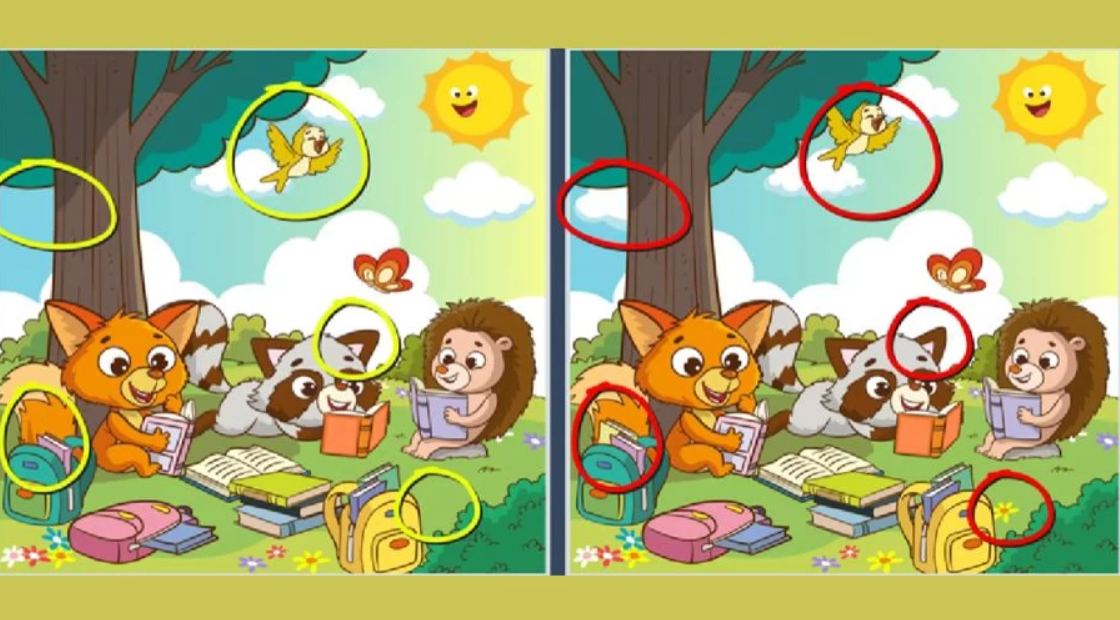 Fresherslive φωτογραφία