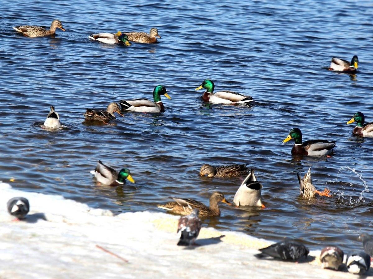 Φωτογραφία Moje