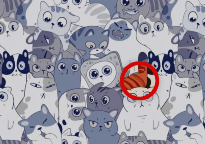 Φωτογραφία Bright Side