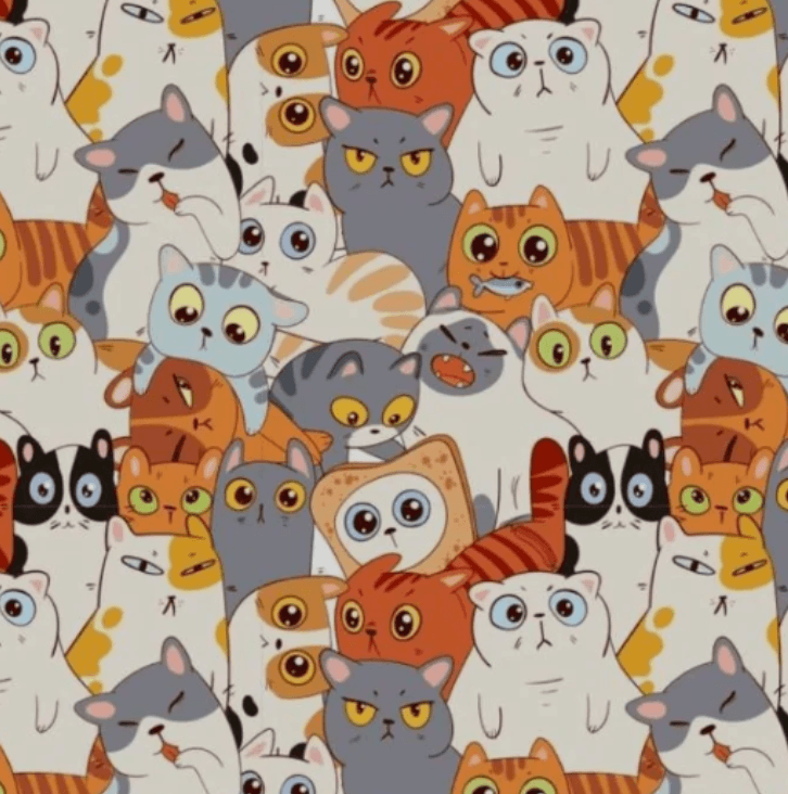 Φωτογραφία Bright Side