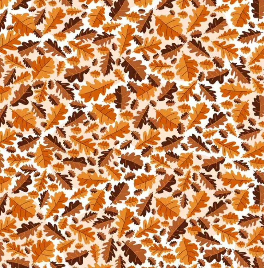 Παζλ - πρέπει να βρείτε ένα βελανίδι σε δευτερόλεπτα