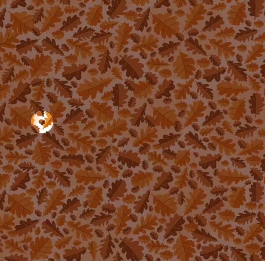 Λύνοντας τον γρίφο