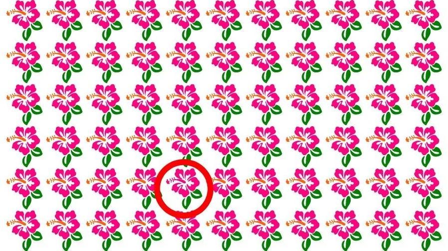 Η απάντηση του γρίφου / φωτογραφία από Fresherslive