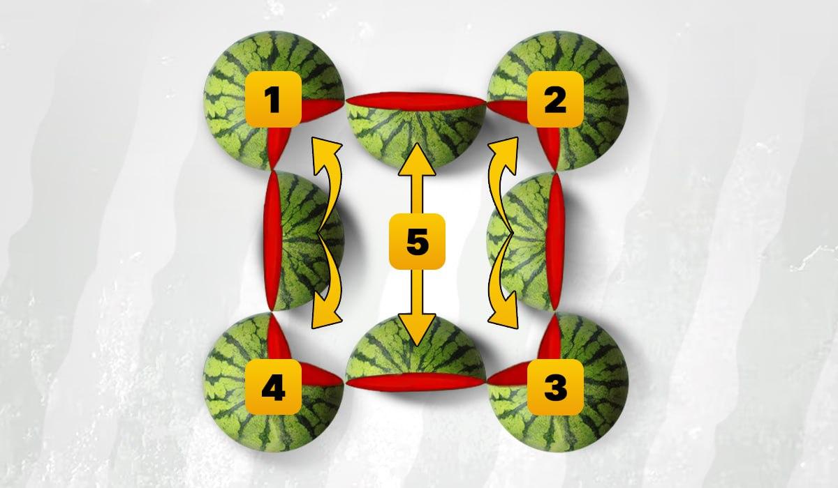 Η εικόνα δείχνει 5 καρπούζια / Εικονογράφηση Moje