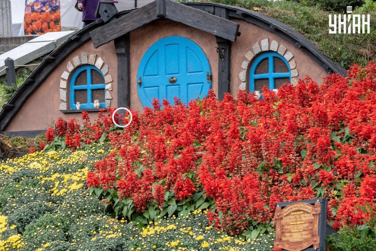 Φωτογραφία Moje