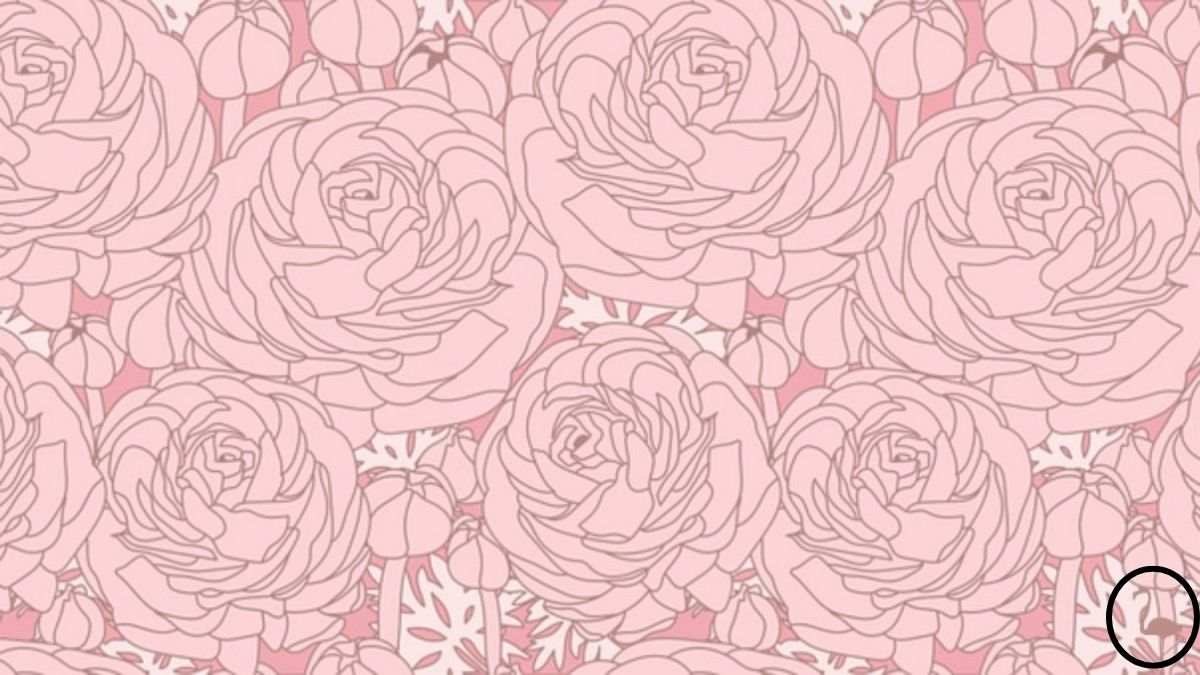 Τρελό παζλ για ιδιοφυΐες: πρέπει να βρείτε ένα φλαμίνγκο ανάμεσα στα λουλούδια σε 7 δευτερόλεπτα.