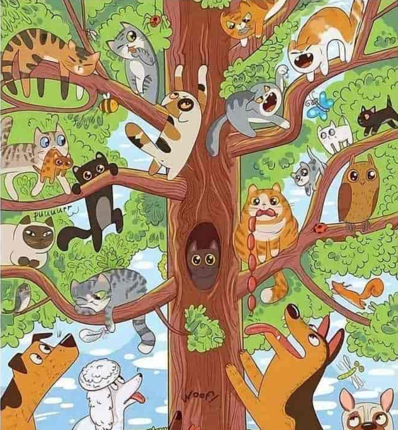 φωτογραφία από Jagranjosh