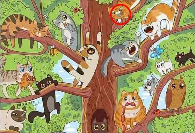 φωτογραφία από Jagranjosh