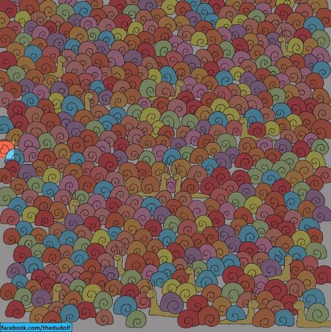 Η σωστή απάντηση του γρίφου 