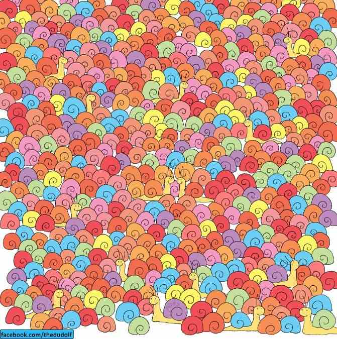 Βλέπετε μια καρδιά ανάμεσα στα σαλιγκάρια; 