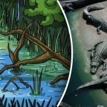 Πού κρύβεται ο κροκόδειλος: μόνο οι πιο έξυπνοι θα βρουν