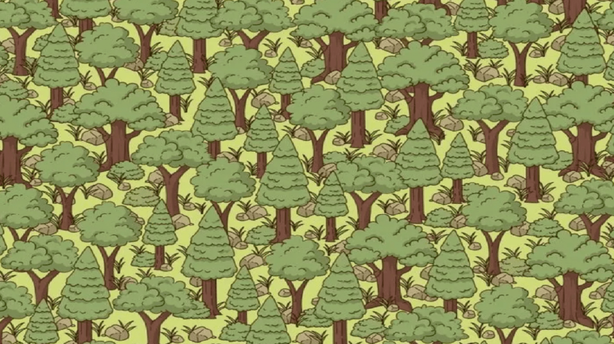 φωτογραφία: Jagran Josh