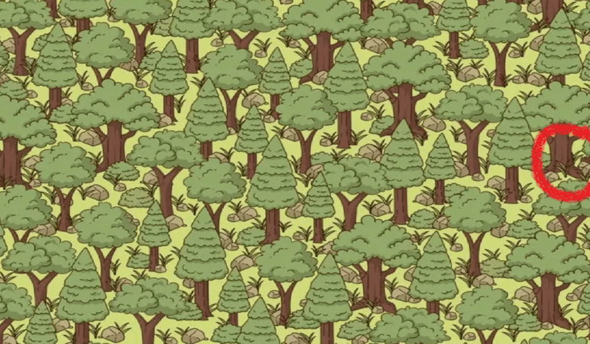 φωτογραφία: Jagran Josh