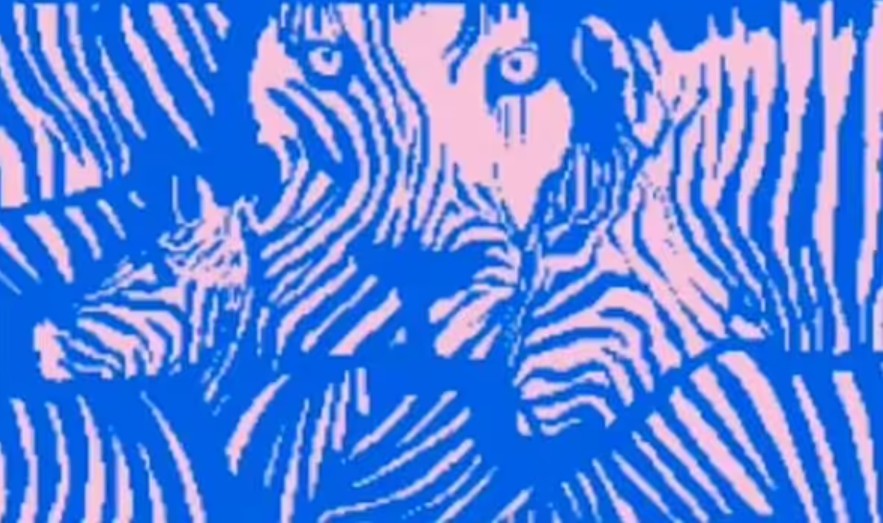 Δοκιμή εικόνας