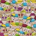 Ένας γρίφος που θα κάνει τα μάτια σας να δακρύσουν: