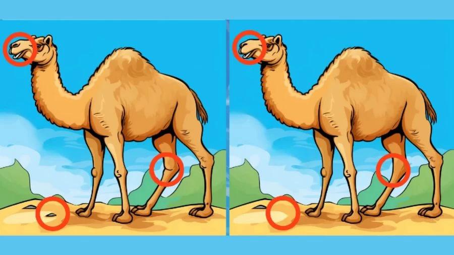 Απάντηση / Φρέσκο