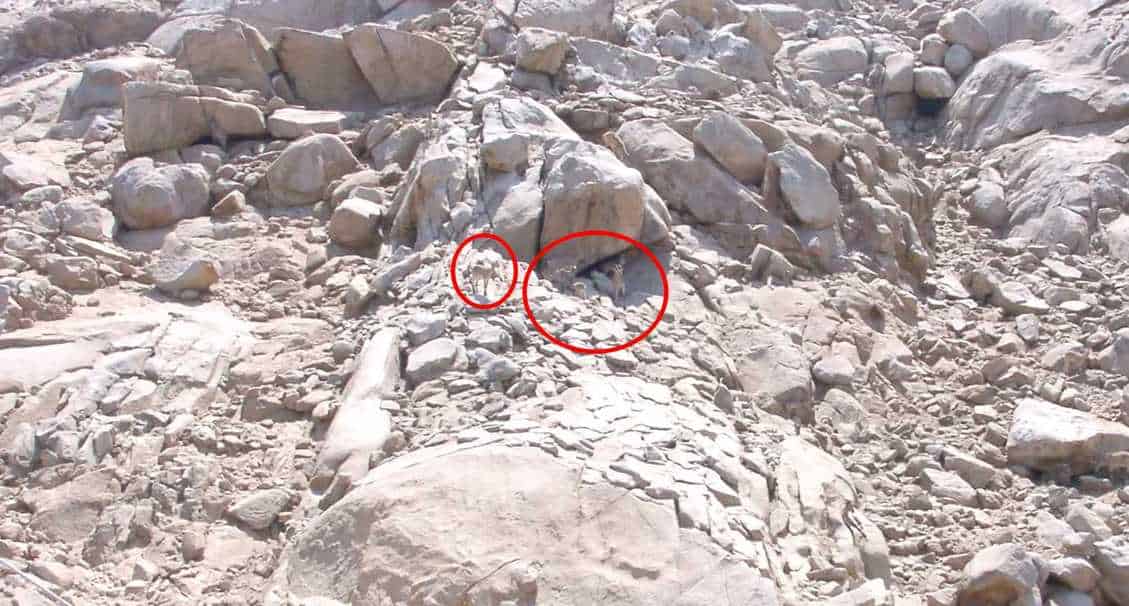 Ένας γρίφος