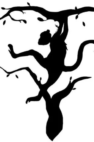 Οπτική ψευδαίσθηση