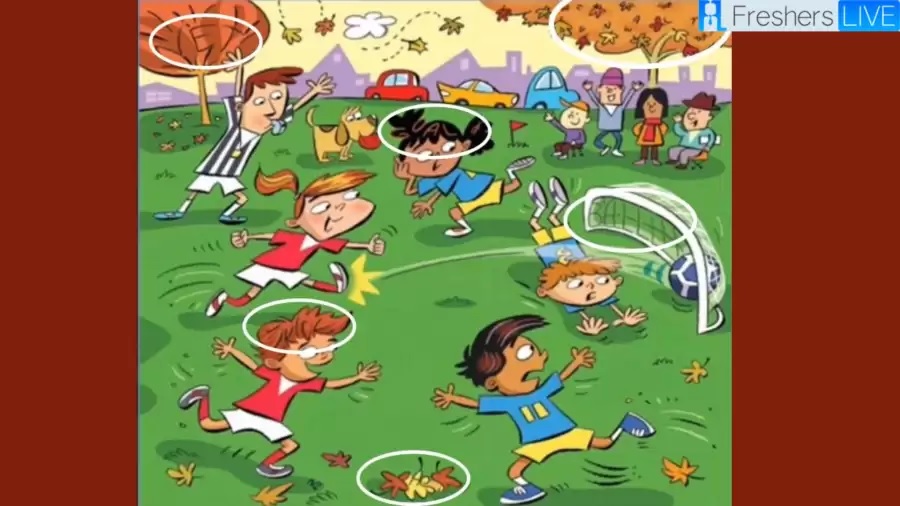 Οπτική ψευδαίσθηση