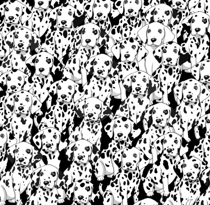 Βρείτε το σκυλί που δεν έχει κηλίδες ανάμεσα σε αυτά τα Δαλματιανά - παιχνίδι παζλ